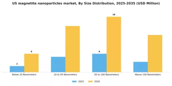 US Magnetite Nanoparticles Market Segment Image 3