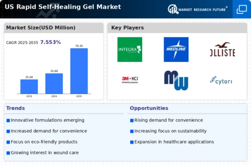 US Rapid Self healing Gel Market Infographic