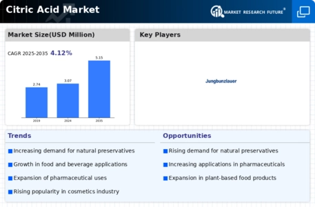 Citric Acid Market Infographic