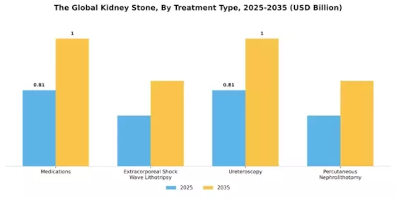 Kidney Stones Market Segment Image 1