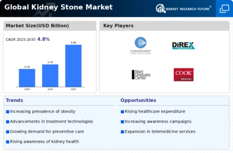 Kidney Stones Market Infographic