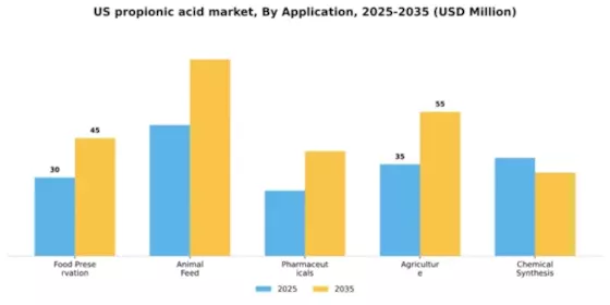 US Propionic Acid Market Segment Image 0