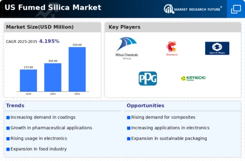 US Fumed Silica Market Infographic