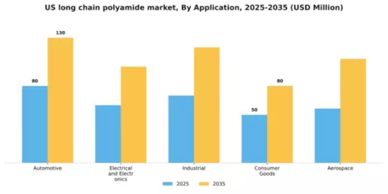 US Long-chain Polyamide Market Segment Image 0