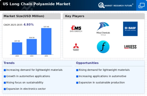 US Long-chain Polyamide Market Infographic