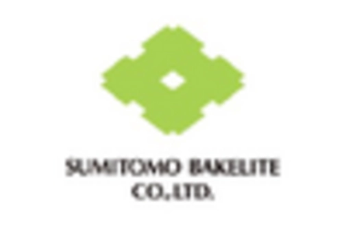 US Engineered Plastics Market key player