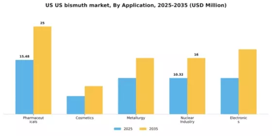 US Bismuth Market Segment Image 0