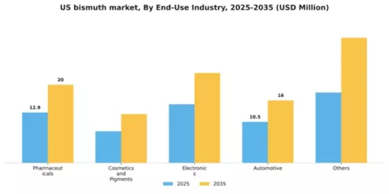 US Bismuth Market Segment Image 1
