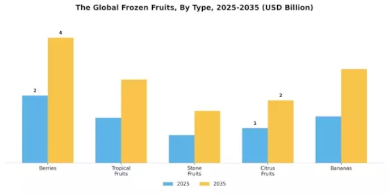 Frozen Fruits Market Segment Image 3
