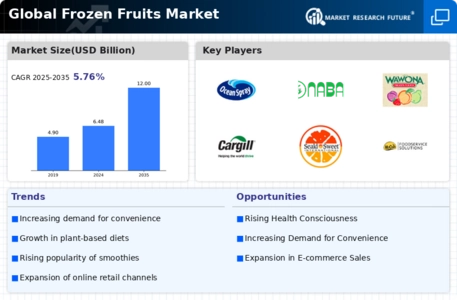 Frozen Fruits Market Infographic