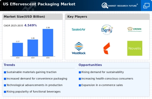 US Effervescent Packaging Market Infographic