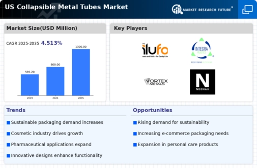 US Collapsible Metal Tubes Market Infographic