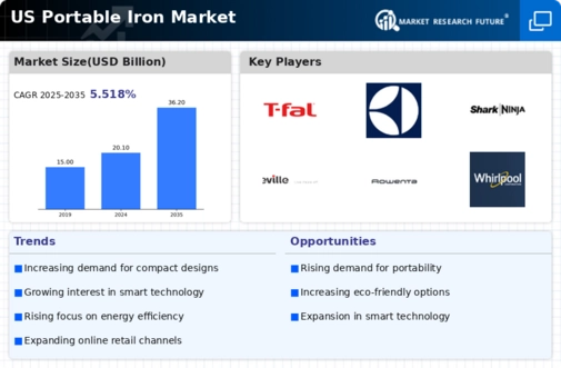 US Portable Iron Market Infographic