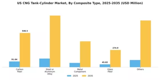 US CNG Tank Cylinder Market Segment Image 0