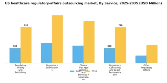 US Healthcare Regulatory Affairs Outsourcing Market Segment Image 1
