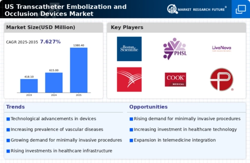 US Transcatheter Embolization and Occlusion Devices Market Infographic