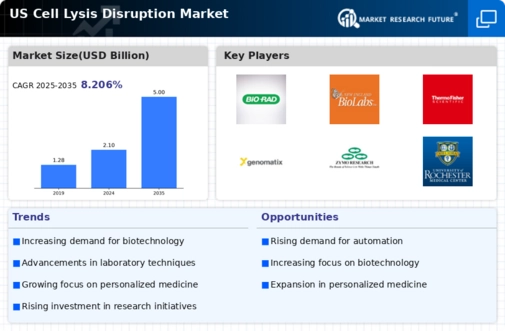 US Cell Lysis Disruption Market Infographic