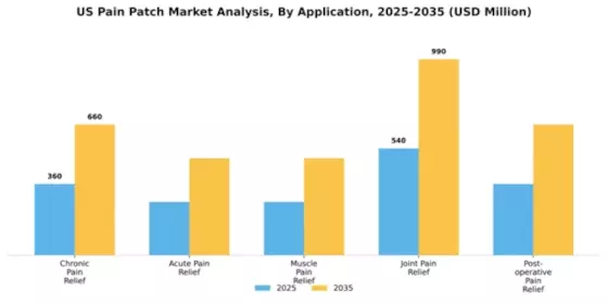 US Pain Patch Market Segment Image 0