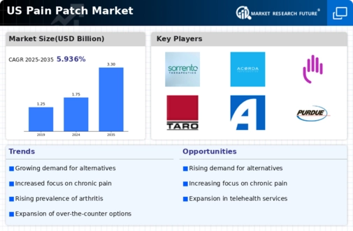 US Pain Patch Market Infographic