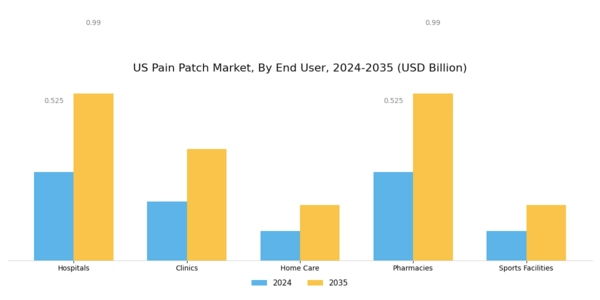 US Pain Patch Market Segment Image 2