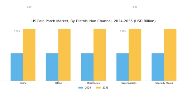 US Pain Patch Market Segment Image 3