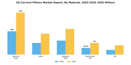 US Cervical Pillows Market Segment Image 1