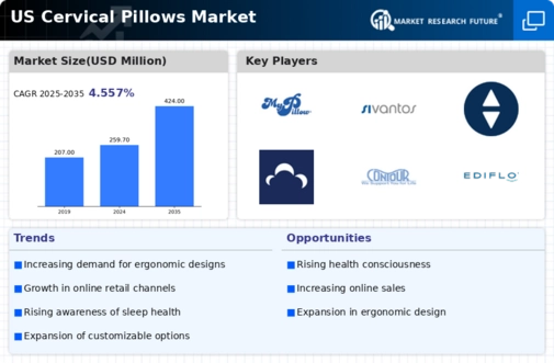 US Cervical Pillows Market Infographic