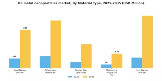 US Metal Nanoparticles Market Segment Image 2