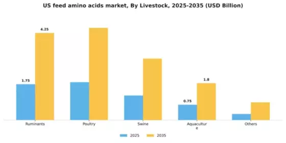 US Feed Amino Acids Market Segment Image 1
