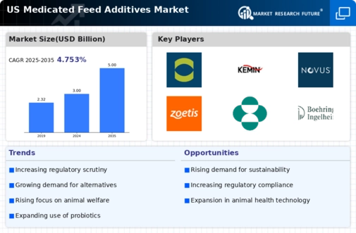 US Medicated Feed Additives Market Infographic