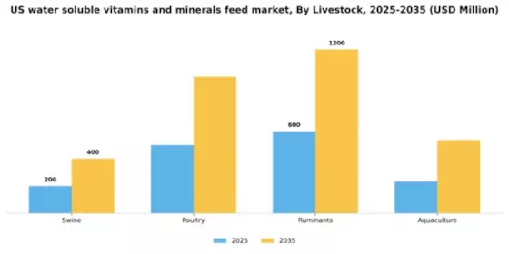 US Water Soluble Vitamins Minerals Feed Market Segment Image 0