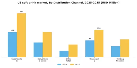 US Soft Drink Market Segment Image 0