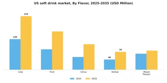 US Soft Drink Market Segment Image 1