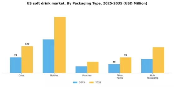 US Soft Drink Market Segment Image 2