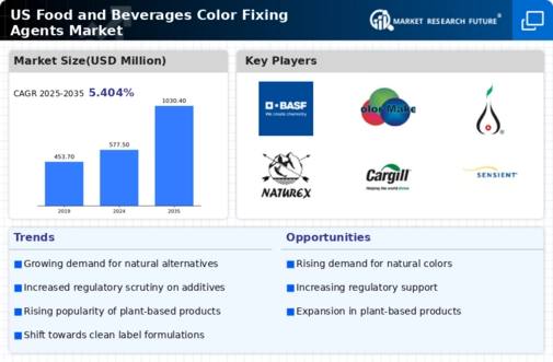 US Food and Beverages Color Fixing Agents Market Infographic