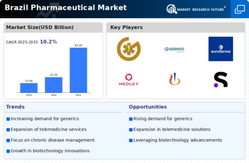 Brazil Pharmaceutical Industry Market Infographic