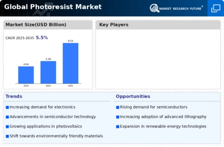Photoresist Market Infographic