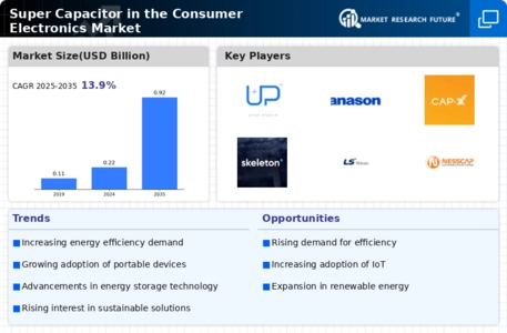 Super Capacitor in the Consumer Electronics Market Infographic