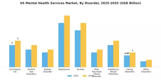 US Mental Health Services Market Segment Image 0