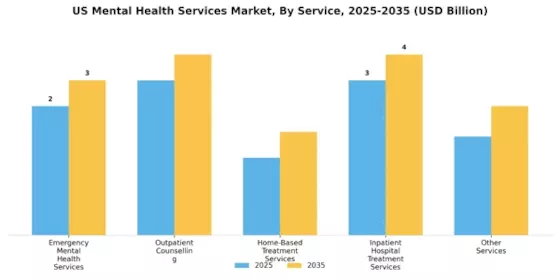 US Mental Health Services Market Segment Image 1