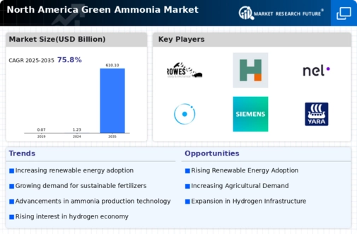 North America Green Ammonia Market Infographic North America Green Ammonia Market Infographic