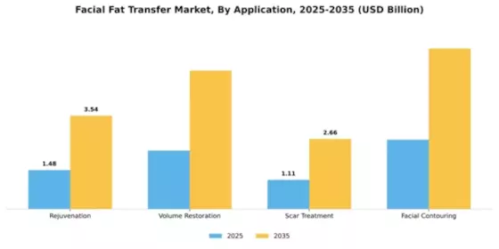 Facial Fat Transfer Market Segment Image 0