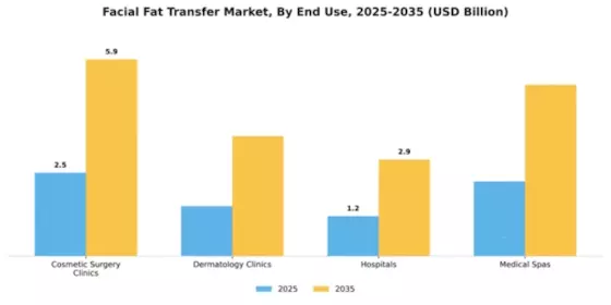 Facial Fat Transfer Market Segment Image 2