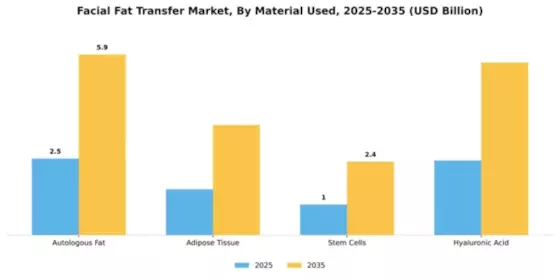 Facial Fat Transfer Market Segment Image 2
