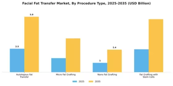 Facial Fat Transfer Market Segment Image 3