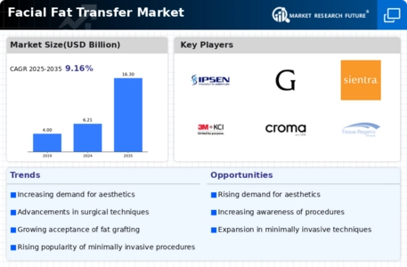 Facial Fat Transfer Market Infographic