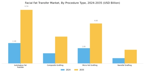 Facial Fat Transfer Market Segment Image 0