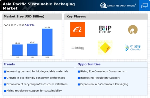 Asia Pacific Sustainable Packaging Market Infographic