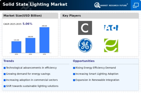 Solid State Lighting Market Infographic