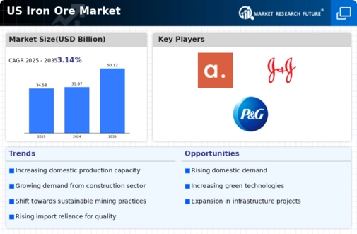 US Iron Ore Market Infographic